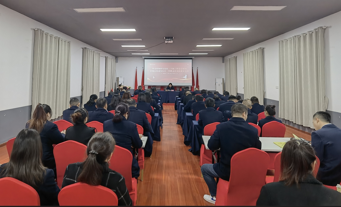 湘安實業(yè)開展學(xué)習(xí)貫徹黨的二十屆三中全會精神專題黨課活動