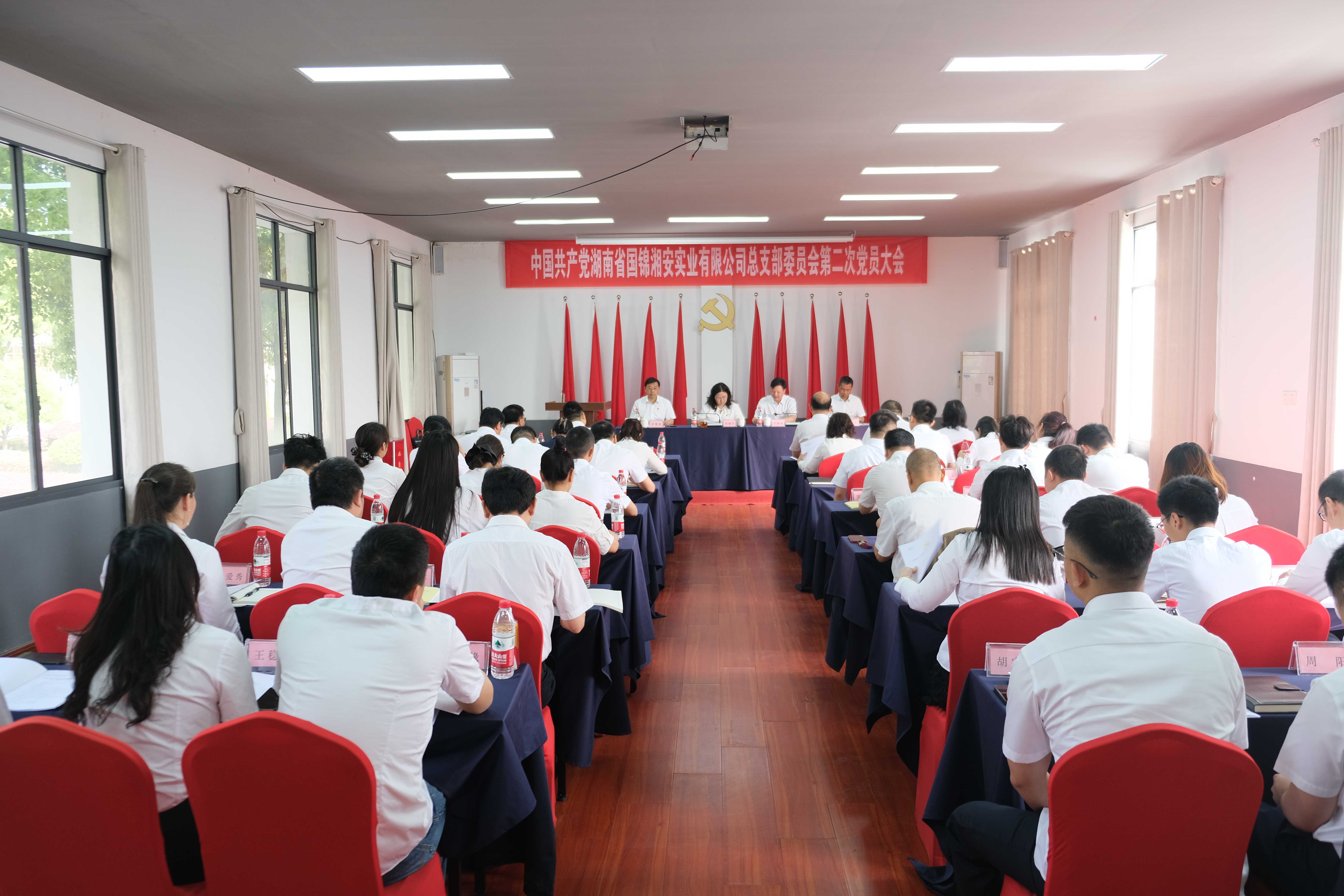 擔(dān)當(dāng)新使命，奮進新征程——湘安實業(yè)第二屆黨員大會勝利閉幕